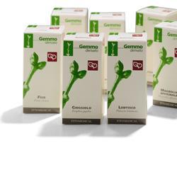 AGNOCASTO MACERATO GLICERICO 50 ML - lepimpinelle.it