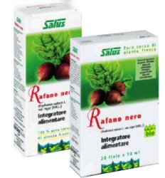 RAFANO NERO SUCCO 200 ML BIO - lepimpinelle.it