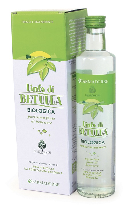 LINFA DI BETULLA BIO 500 ML - lepimpinelle.it