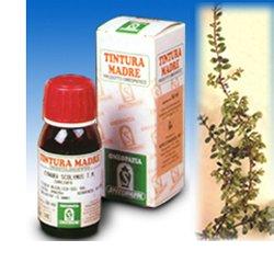 UVA URSINA 30 50ML TM - lepimpinelle.it