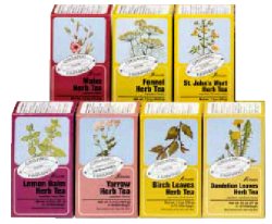 SALVIA TISANA 15 FILTRI BIO - lepimpinelle.it