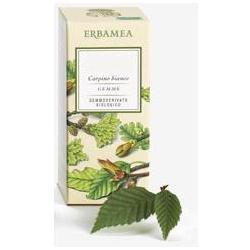 TILIA TORMENTOSA GEMME GEMMODERIVATO BIO 50 ML - lepimpinelle.it