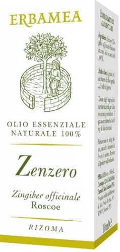 ZENZERO 10 ML - lepimpinelle.it
