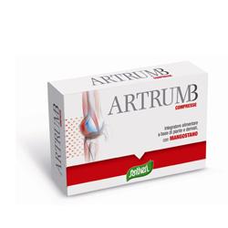 ARTRUM B CON MANGOSTANO 48 COMPRESSE 31 G - lepimpinelle.it