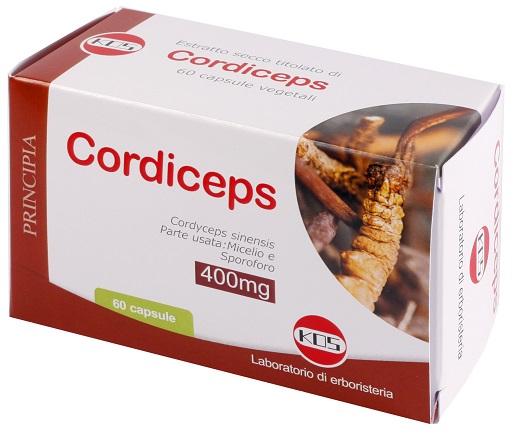 CORDICEPS ESTRATTO SECCO 60 CAPSULE - lepimpinelle.it