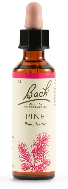 PINE BACH ORIG 20 ML - lepimpinelle.it