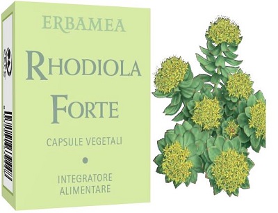 RHODIOLA FORTE 24 CAPSULE - lepimpinelle.it