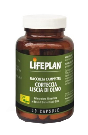 CORTECCIA LISCIA DI OLMO 50 CAPSULE - lepimpinelle.it