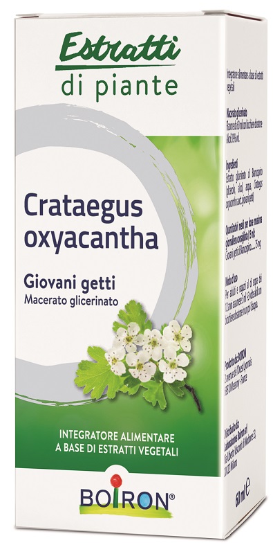 CRATAEGUS BOIRON MACERATO GLICERICO 60 ML - lepimpinelle.it
