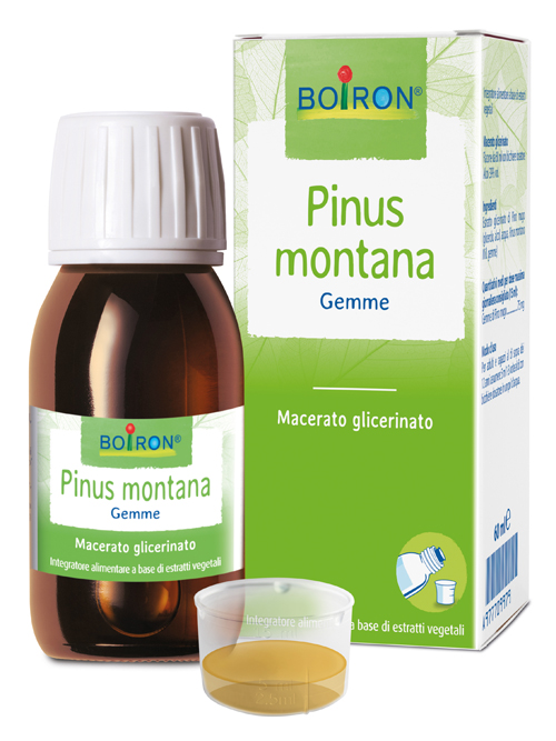 PINUS MONTANA BOIRON MACERATO GLICERICO 60 ML - lepimpinelle.it