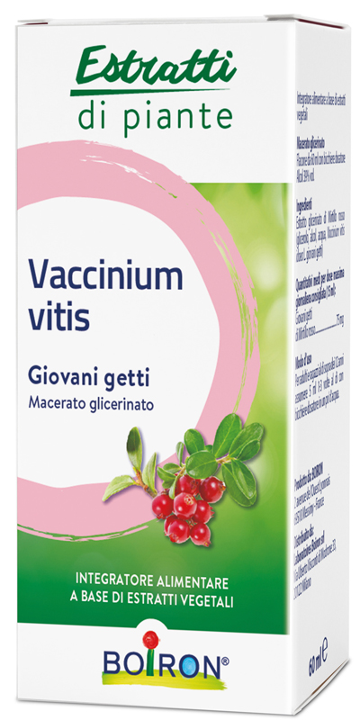 VACCINIUM VITIS MACERATO GLICERICO 60 ML - lepimpinelle.it
