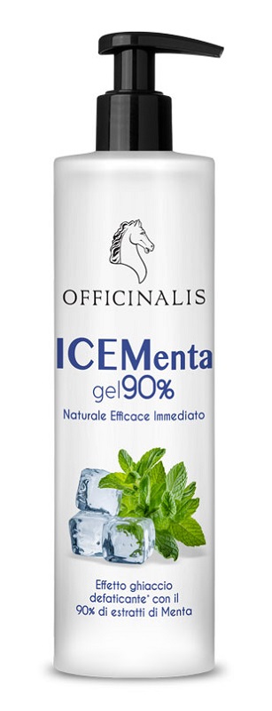 ICE GEL 90% 100 ML - lepimpinelle.it