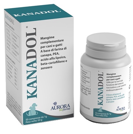 KANADOL 50 COMPRESSE - lepimpinelle.it